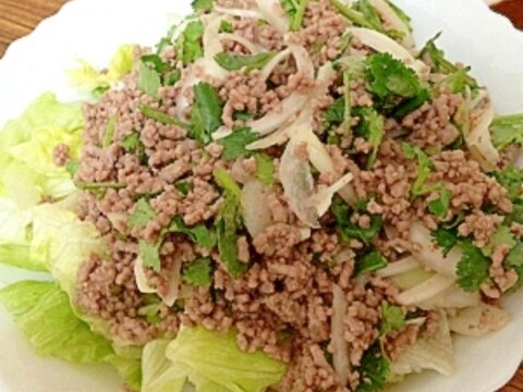 タイ風！豚ひき肉の幸せサラダ